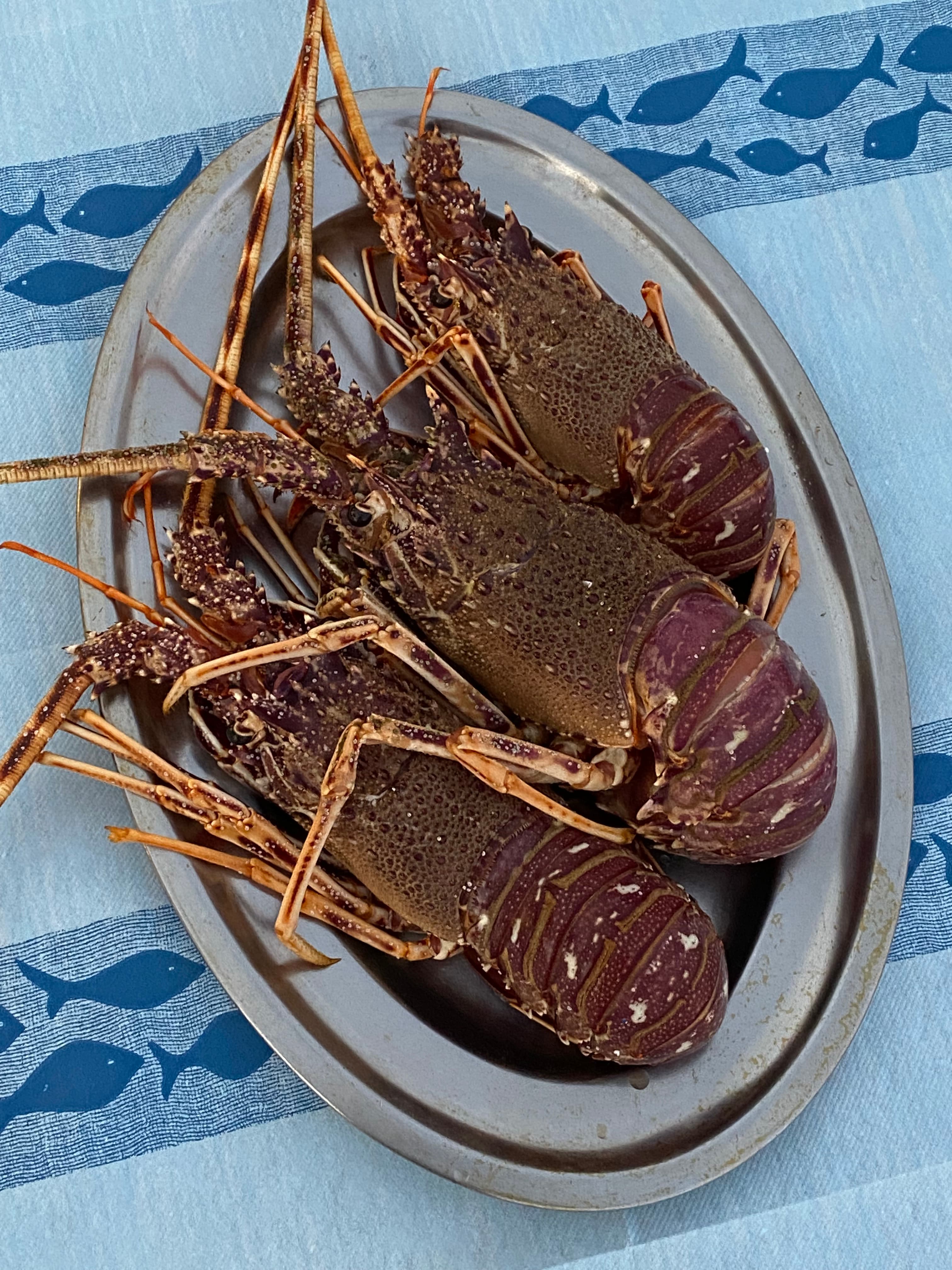 Plato de langostas servido en la mesa.