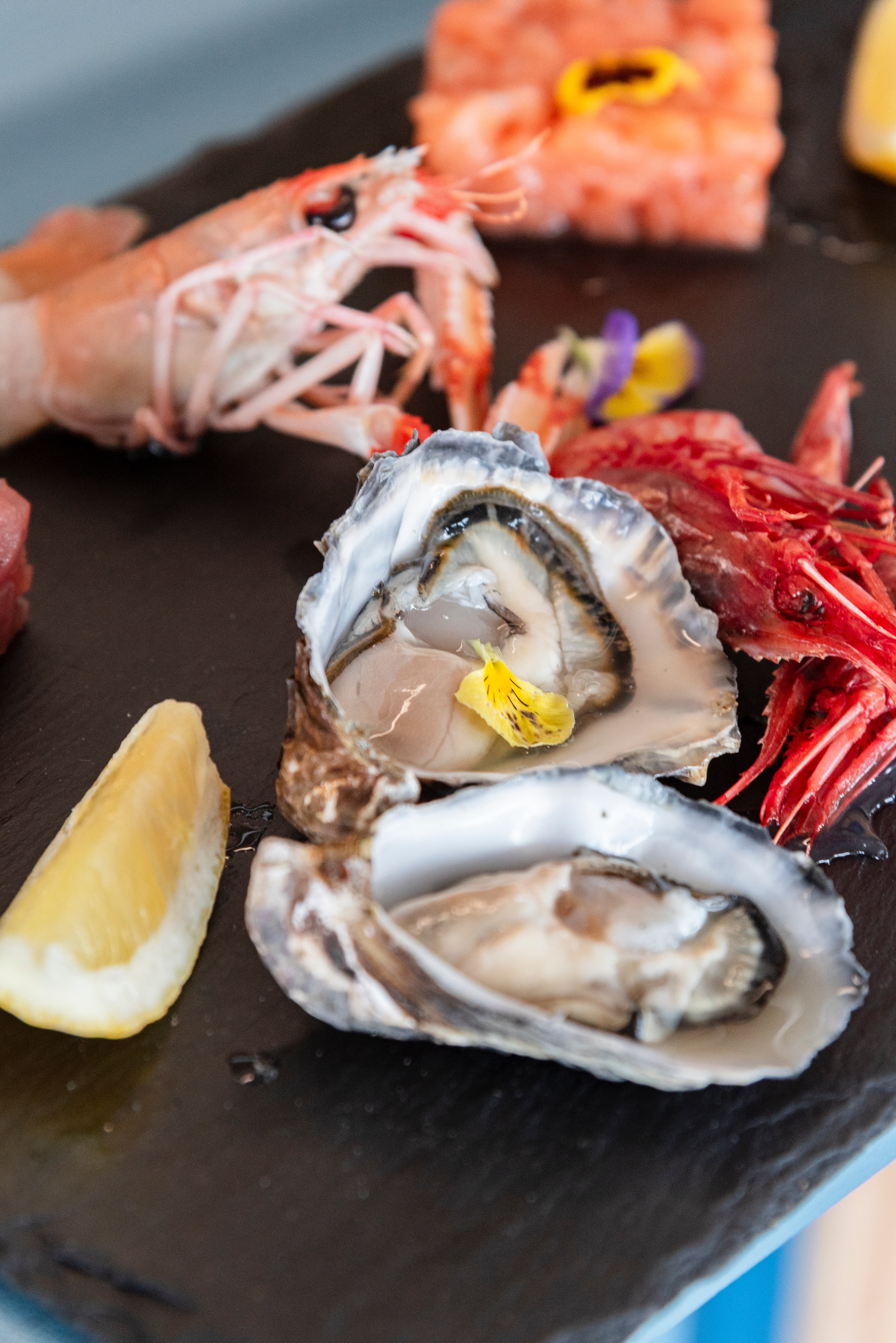 Seleccion de crudos de mar servidos sobre hielo.