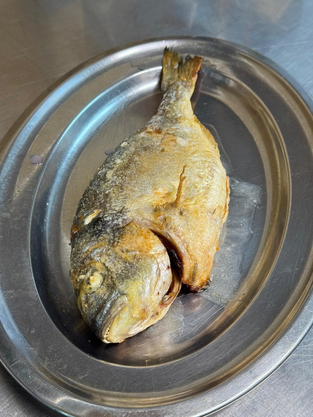 Dorada entera servida como propuesta de la pesca del dia.